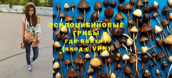 амф Алзамай