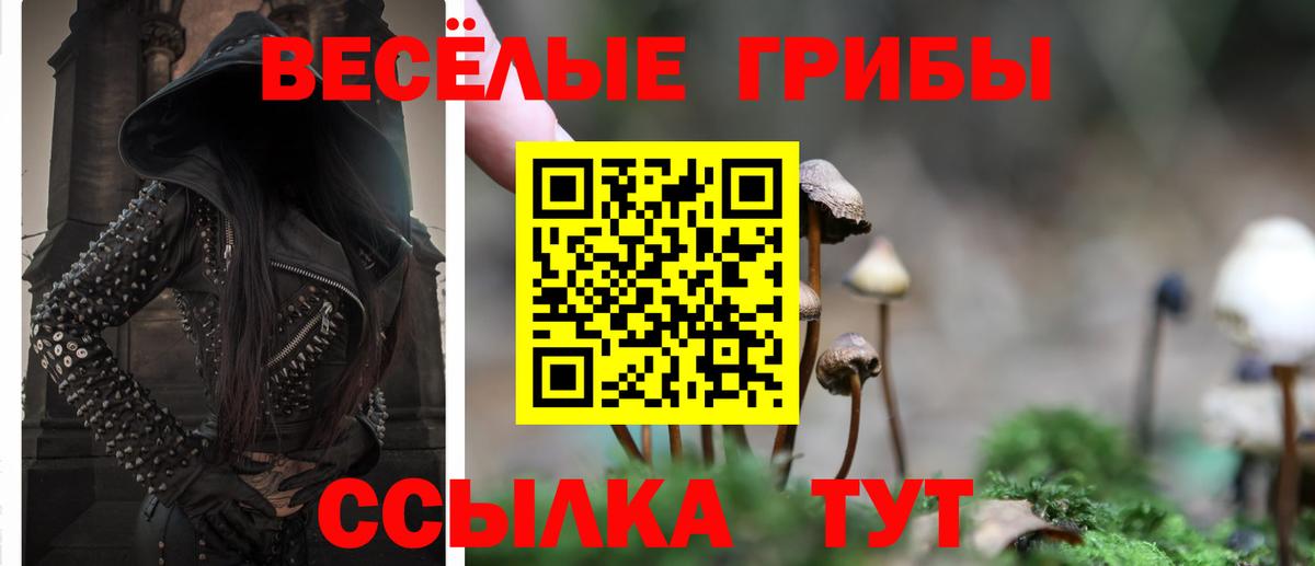 Псилоцибиновые грибы Psilocybine cubensis Лиски